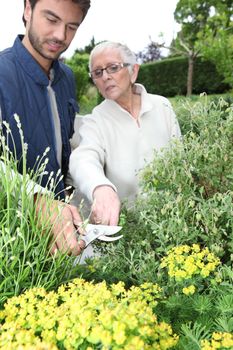 young man gardening with older woman