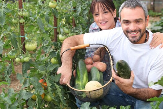 Couple growing vegetables