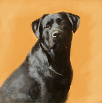 oil painting portrait of hunting black labrador male