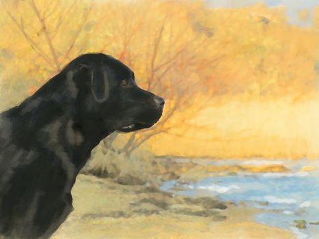 oil painting portrait of hunting black labrador in autumn