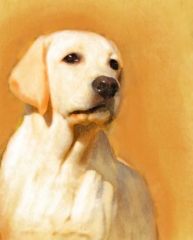 A young yellow labrador oil portrait