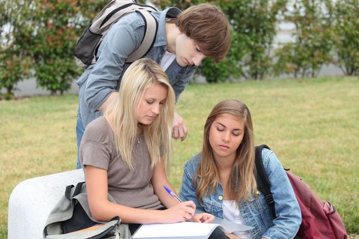 Students revising outside