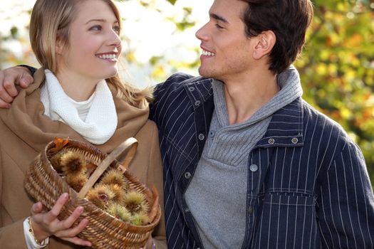 Couple gathering chestnuts