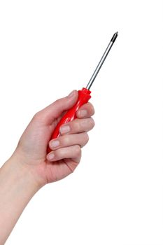 A hand holding a screwdriver.