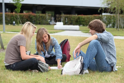 Three students studying on the grass