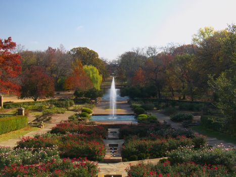 The  Rose Garden of the  Botanic Garden in Fort Worth Texas