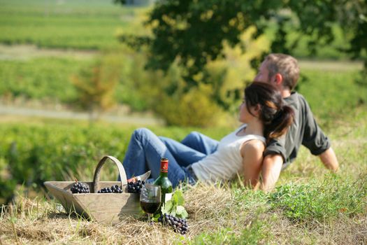 Couple drinking wine in a field