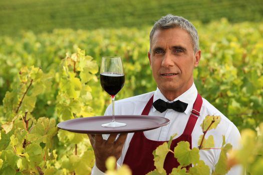 Man serving a glass of red wine in the middle of a vineyard