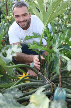 Man kneeling by vegetable in garden