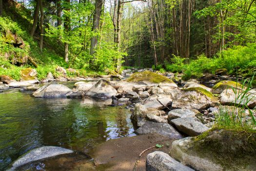 small wild river in Bohemian forest on Vysocina