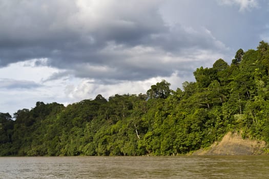view of rainforest by the edge of Rajang River in Sarawak, Malaysia with dark clouds forming in the background