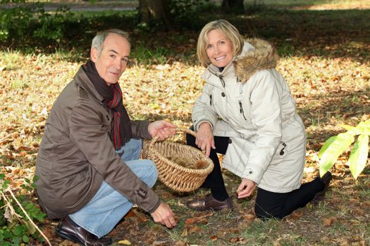 senior couple on a walk in the park