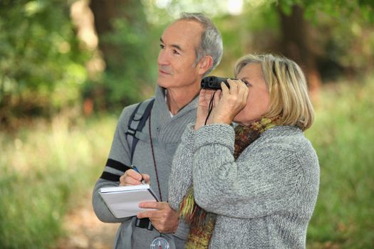 couple of retirees observing wildlife with binoculars in forest