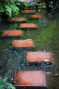 stepping stone tiles cross the river or stream