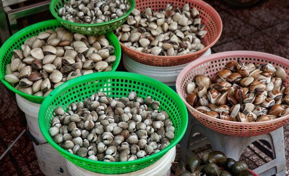 mussells cockles and shellfish for sale in  ben thanh market