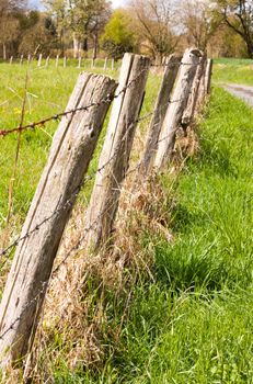 Fence pasture and a small road 
