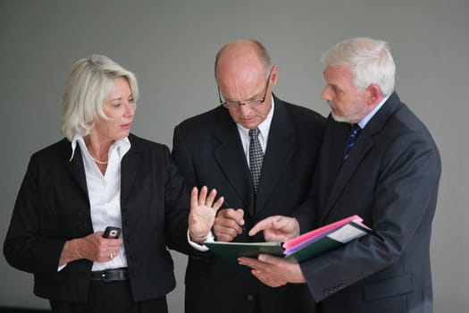 Businesspeople discussing a project