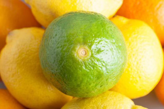 Close up (macro) overhead shot of a lime, sitting on top of a round of lemons, beneath which are oranges.  Represents citrus fruits containing Vitamin C.  Landscape orientation.