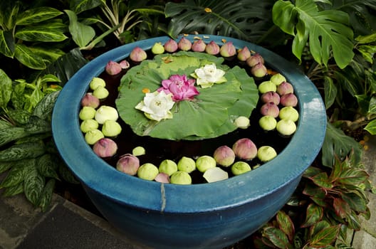 asian garden detail with flowers