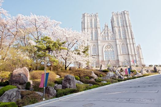 Blooming cherry trees with gothic cathedral and blue sky on background