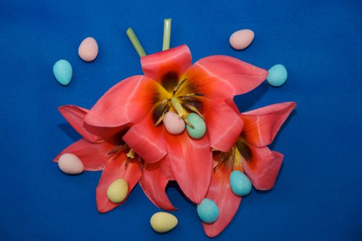 Miniature easter eggs displayed with freshly picked tulips.