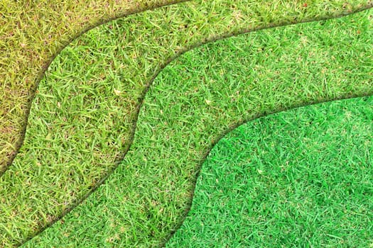 layer of green grass for web background