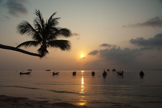 palm tree and boats at sunset on tropical island ko tao thailand