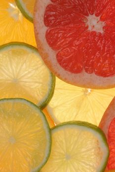 citrus fruits in slices...........