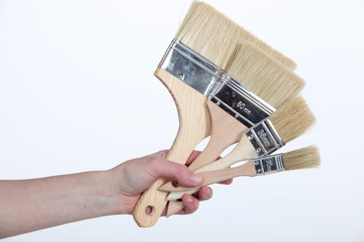 female hand holding out brushes