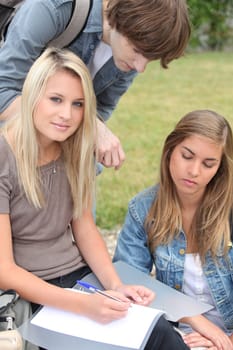 Three students studying in the park