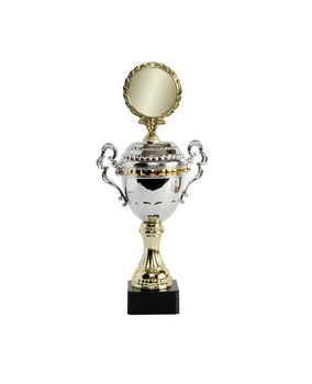 Gold and silver trophy on white background. Clipping path is included