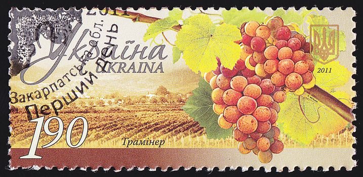 UKRAINE - CIRCA 2011: A post stamp printed in Ukraine shows grapes Traminer ,series Winemaking in Ukraine , circa 2011.