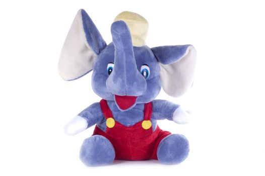 Plush elephant on white background