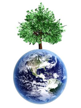 Symbol of environment and ecology. A world with trees. 3D rendered Illustration.