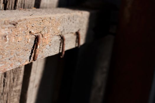 rusty nails in wood 