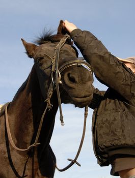 young teenager make a bridle to her black horse