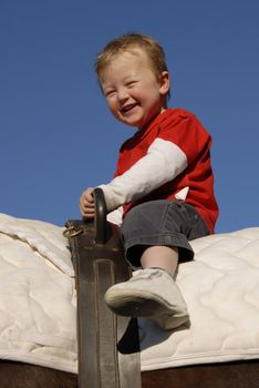 very young boy on a big brown horse