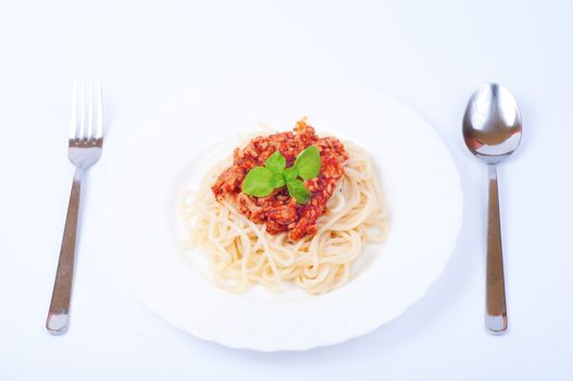 Saghetti on plate on white background
