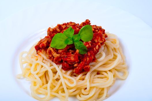 Saghetti on plate on white background