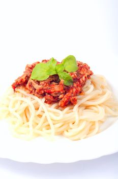 Saghetti on plate on white background