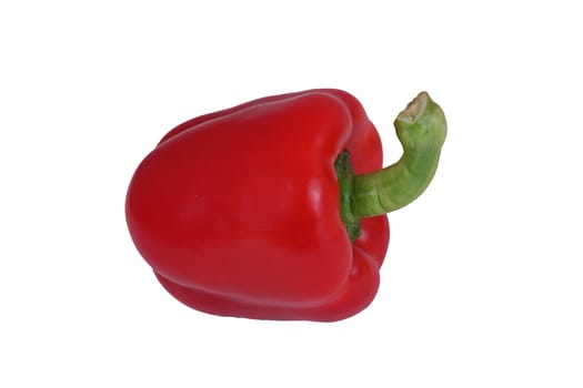 Red pepper on a plain white background.