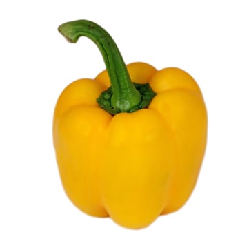 Yellow pepper on a plain white background.