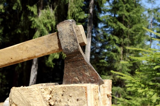 massive ax stuck in a beech stub