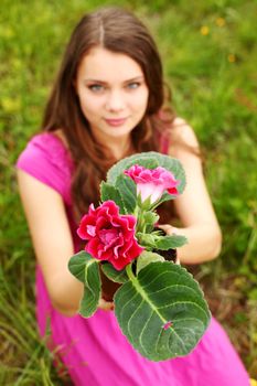 flower in woman hands close up