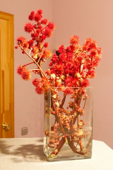 red flowers in vase