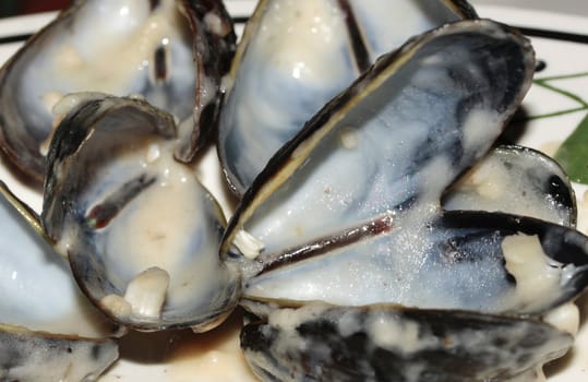 Close Up of Partially Eaten Mussels