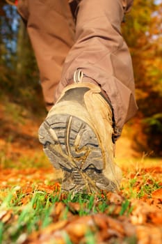 hiking view from the ground