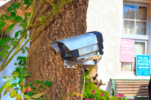 Old CCTV security camera on the tree.