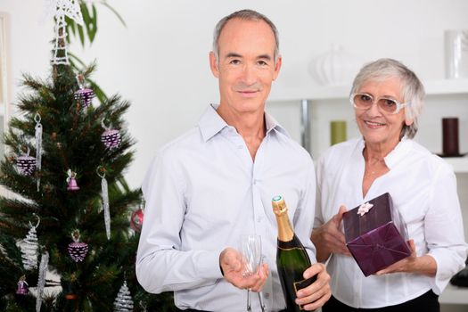 Elderly couple celebrating together at Christmas