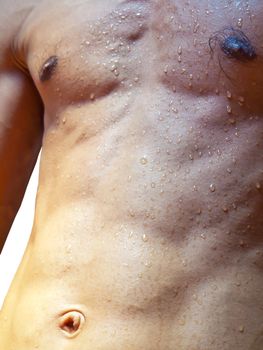 Wet torso with water drops against the white background